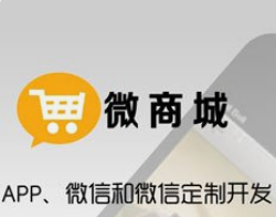 微邦網(wǎng)絡(luò),微商城與小程序商城的運(yùn)營成本差異